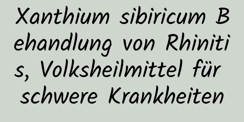 Xanthium sibiricum Behandlung von Rhinitis, Volksheilmittel für schwere Krankheiten