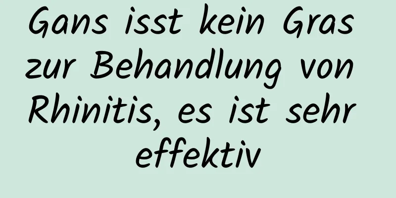 Gans isst kein Gras zur Behandlung von Rhinitis, es ist sehr effektiv