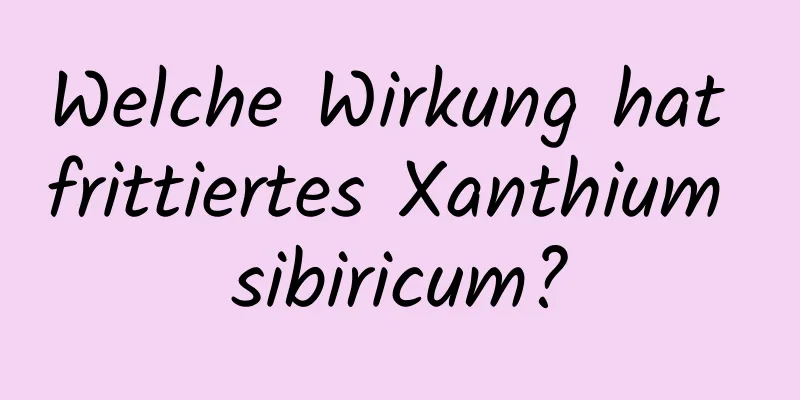 Welche Wirkung hat frittiertes Xanthium sibiricum?