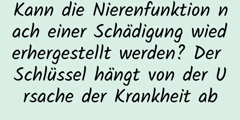 Kann die Nierenfunktion nach einer Schädigung wiederhergestellt werden? Der Schlüssel hängt von der Ursache der Krankheit ab