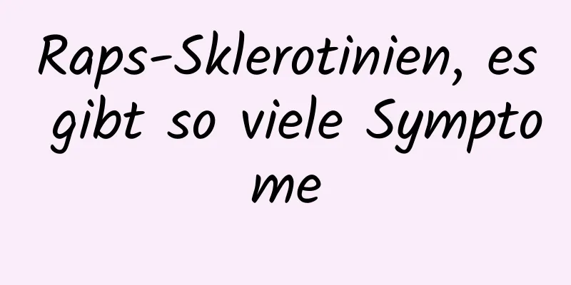 Raps-Sklerotinien, es gibt so viele Symptome