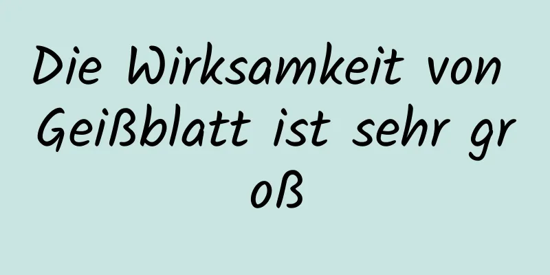 Die Wirksamkeit von Geißblatt ist sehr groß