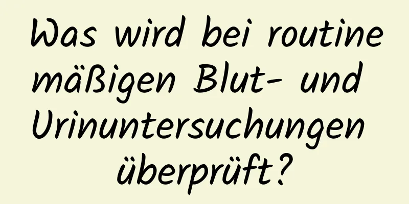 Was wird bei routinemäßigen Blut- und Urinuntersuchungen überprüft?