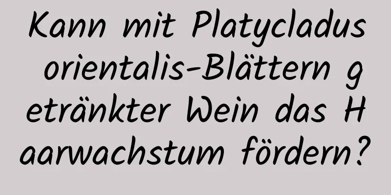 Kann mit Platycladus orientalis-Blättern getränkter Wein das Haarwachstum fördern?