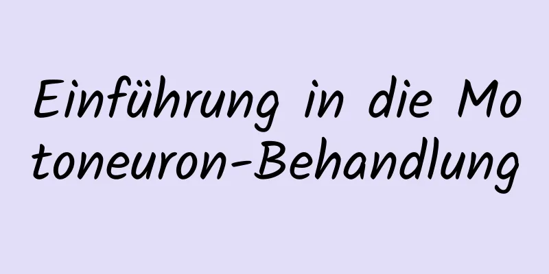 Einführung in die Motoneuron-Behandlung