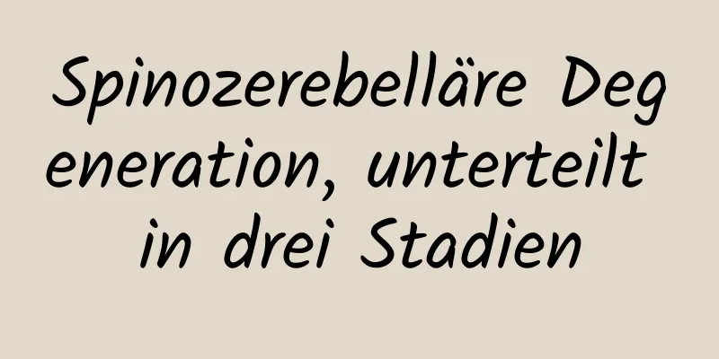 Spinozerebelläre Degeneration, unterteilt in drei Stadien