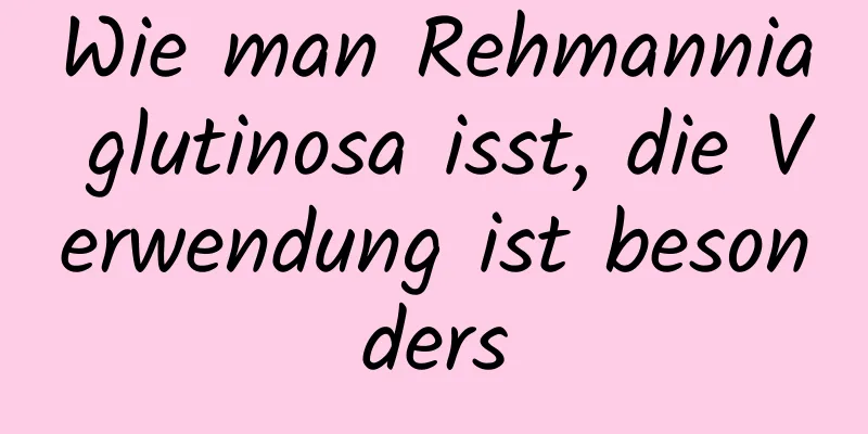 Wie man Rehmannia glutinosa isst, die Verwendung ist besonders