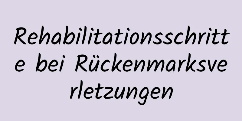 Rehabilitationsschritte bei Rückenmarksverletzungen