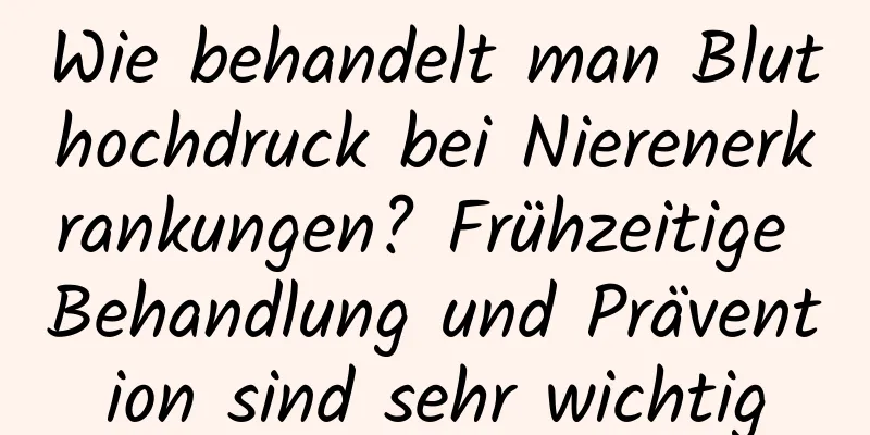 Wie behandelt man Bluthochdruck bei Nierenerkrankungen? Frühzeitige Behandlung und Prävention sind sehr wichtig