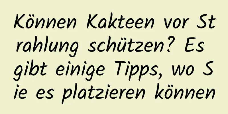 Können Kakteen vor Strahlung schützen? Es gibt einige Tipps, wo Sie es platzieren können