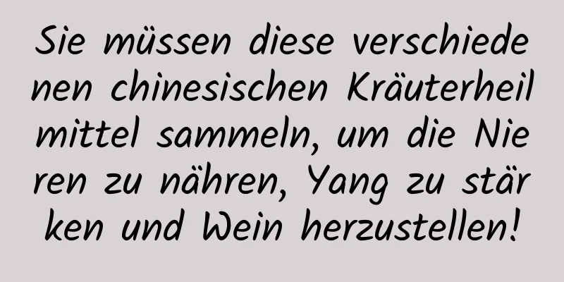 Sie müssen diese verschiedenen chinesischen Kräuterheilmittel sammeln, um die Nieren zu nähren, Yang zu stärken und Wein herzustellen!