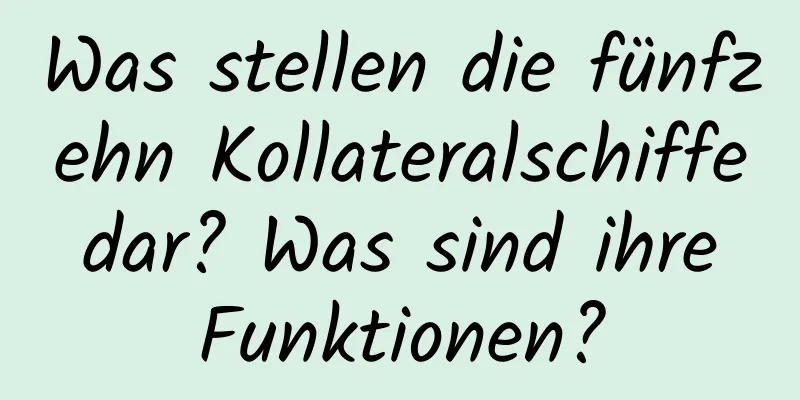 Was stellen die fünfzehn Kollateralschiffe dar? Was sind ihre Funktionen?