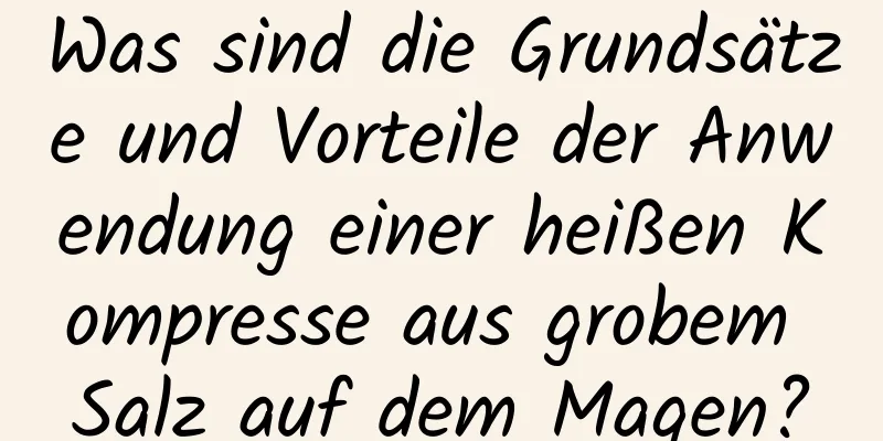 Was sind die Grundsätze und Vorteile der Anwendung einer heißen Kompresse aus grobem Salz auf dem Magen?