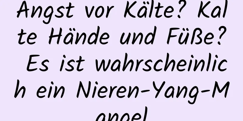 Angst vor Kälte? Kalte Hände und Füße? Es ist wahrscheinlich ein Nieren-Yang-Mangel