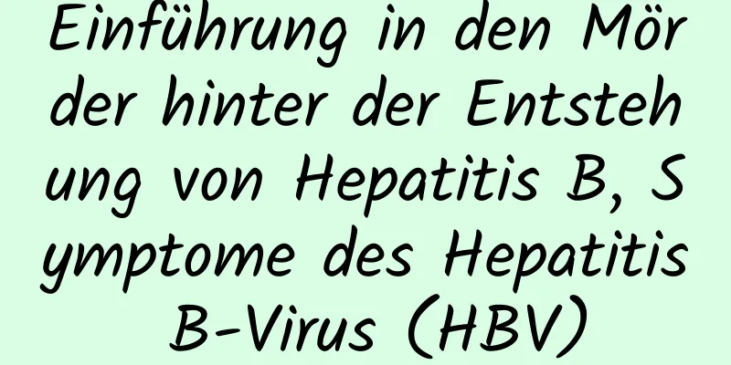 Einführung in den Mörder hinter der Entstehung von Hepatitis B, Symptome des Hepatitis B-Virus (HBV)