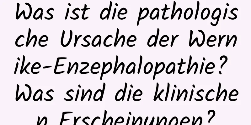 Was ist die pathologische Ursache der Wernike-Enzephalopathie? Was sind die klinischen Erscheinungen?