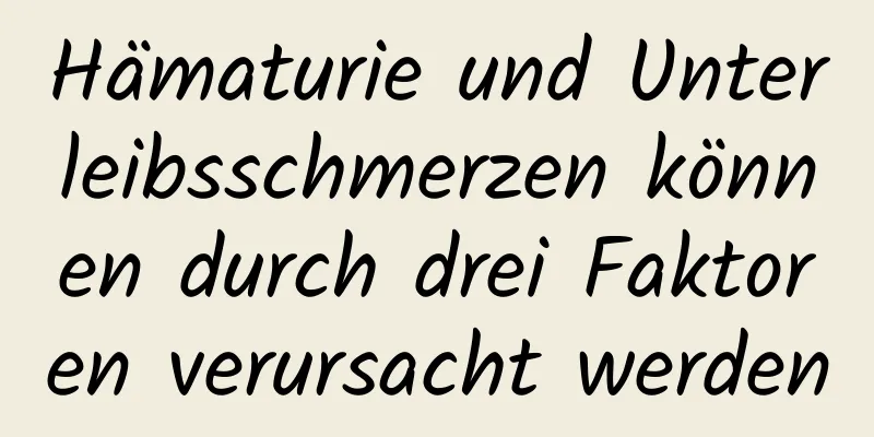 Hämaturie und Unterleibsschmerzen können durch drei Faktoren verursacht werden