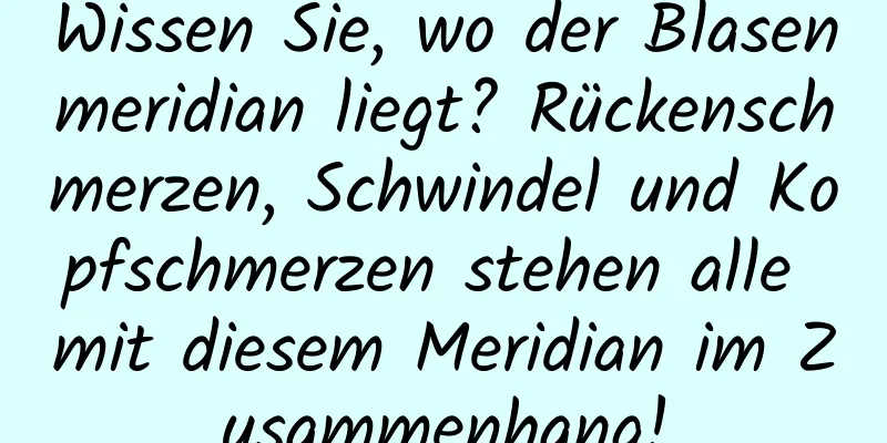 Wissen Sie, wo der Blasenmeridian liegt? Rückenschmerzen, Schwindel und Kopfschmerzen stehen alle mit diesem Meridian im Zusammenhang!