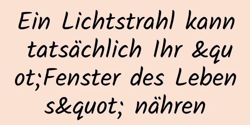 Ein Lichtstrahl kann tatsächlich Ihr "Fenster des Lebens" nähren