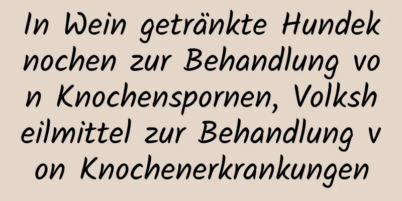 In Wein getränkte Hundeknochen zur Behandlung von Knochenspornen, Volksheilmittel zur Behandlung von Knochenerkrankungen