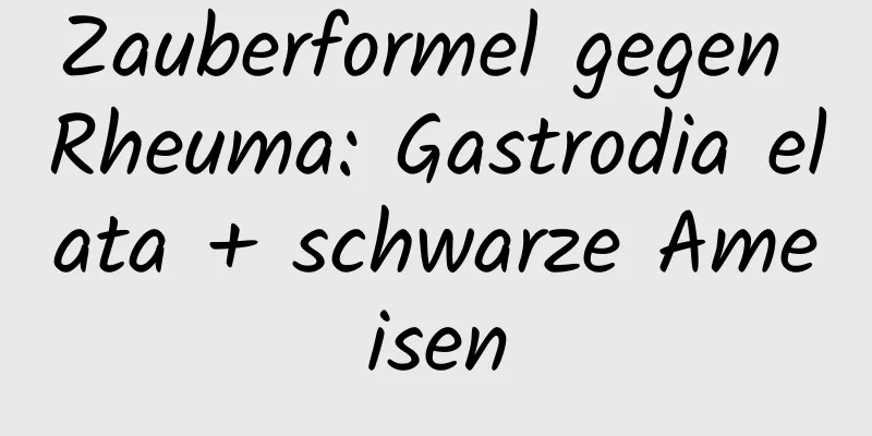 Zauberformel gegen Rheuma: Gastrodia elata + schwarze Ameisen