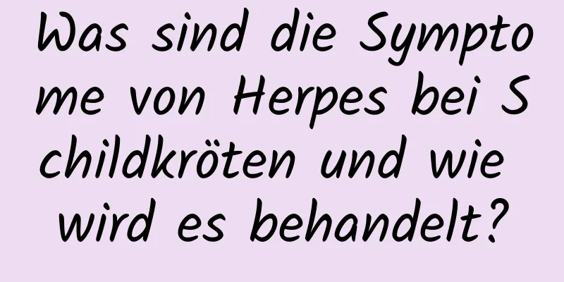 Was sind die Symptome von Herpes bei Schildkröten und wie wird es behandelt?