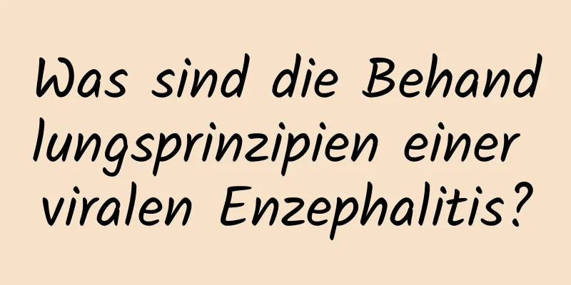 Was sind die Behandlungsprinzipien einer viralen Enzephalitis?