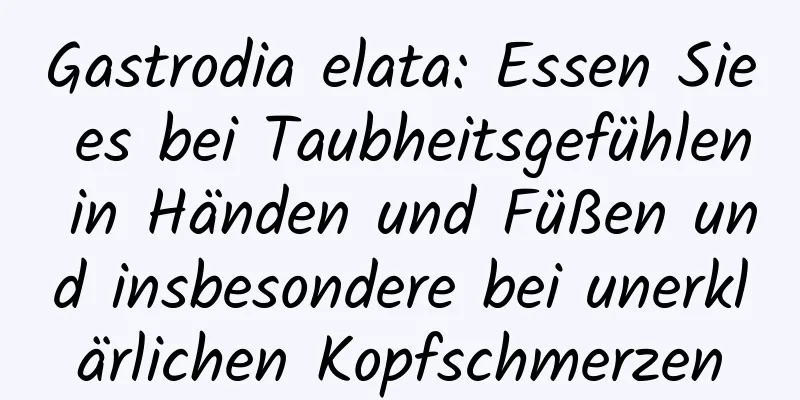 Gastrodia elata: Essen Sie es bei Taubheitsgefühlen in Händen und Füßen und insbesondere bei unerklärlichen Kopfschmerzen