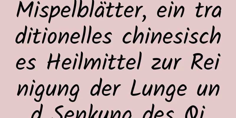 Mispelblätter, ein traditionelles chinesisches Heilmittel zur Reinigung der Lunge und Senkung des Qi