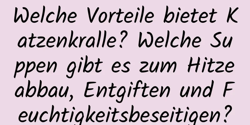 Welche Vorteile bietet Katzenkralle? Welche Suppen gibt es zum Hitzeabbau, Entgiften und Feuchtigkeitsbeseitigen?