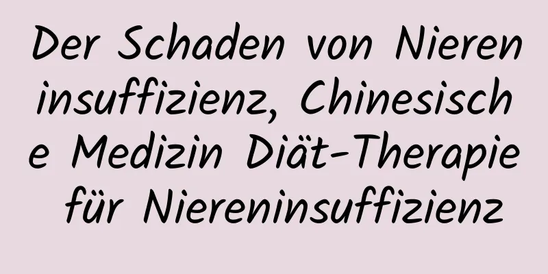 Der Schaden von Niereninsuffizienz, Chinesische Medizin Diät-Therapie für Niereninsuffizienz