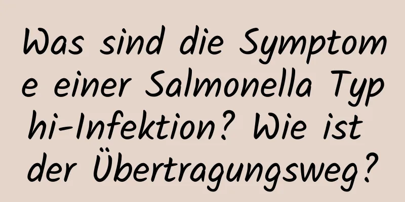 Was sind die Symptome einer Salmonella Typhi-Infektion? Wie ist der Übertragungsweg?