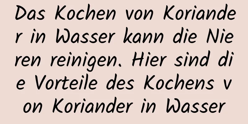 Das Kochen von Koriander in Wasser kann die Nieren reinigen. Hier sind die Vorteile des Kochens von Koriander in Wasser