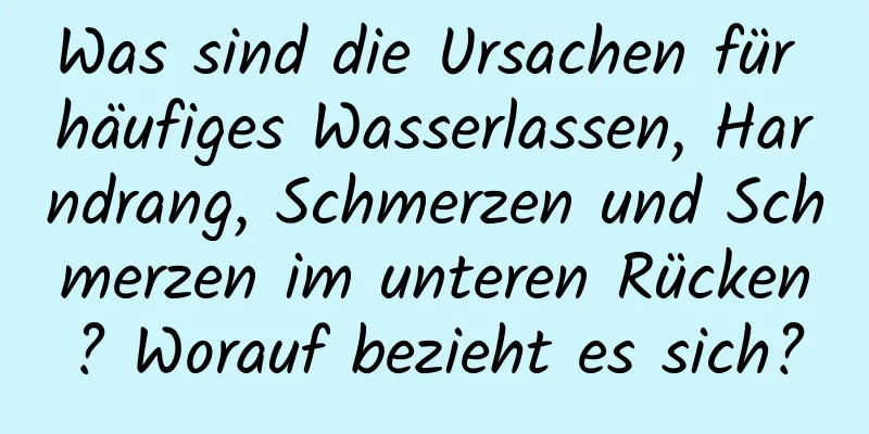 Was sind die Ursachen für häufiges Wasserlassen, Harndrang, Schmerzen und Schmerzen im unteren Rücken? Worauf bezieht es sich?