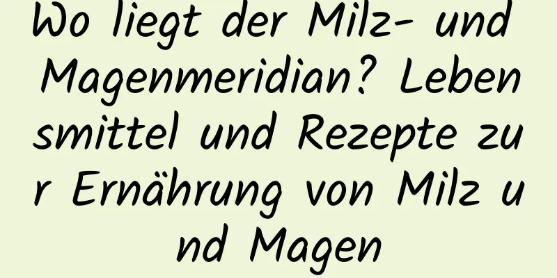 Wo liegt der Milz- und Magenmeridian? Lebensmittel und Rezepte zur Ernährung von Milz und Magen