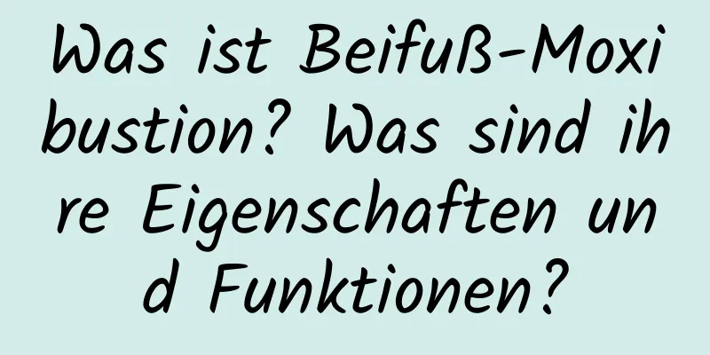 Was ist Beifuß-Moxibustion? Was sind ihre Eigenschaften und Funktionen?