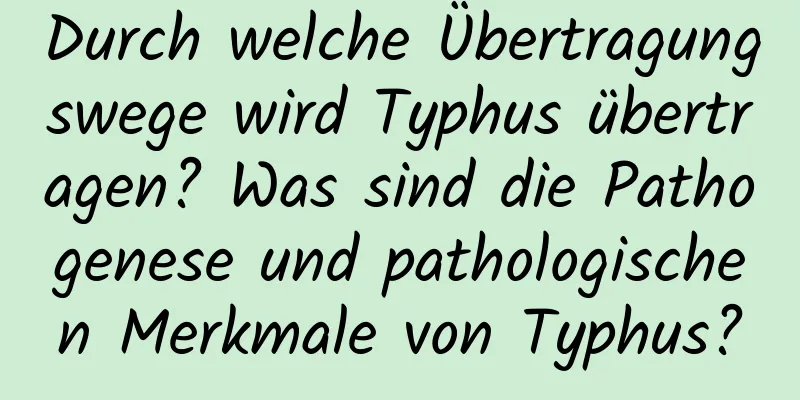 Durch welche Übertragungswege wird Typhus übertragen? Was sind die Pathogenese und pathologischen Merkmale von Typhus?