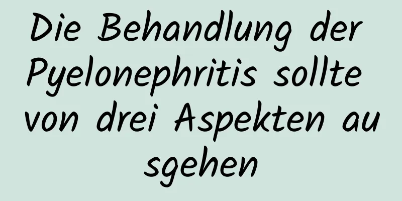 Die Behandlung der Pyelonephritis sollte von drei Aspekten ausgehen