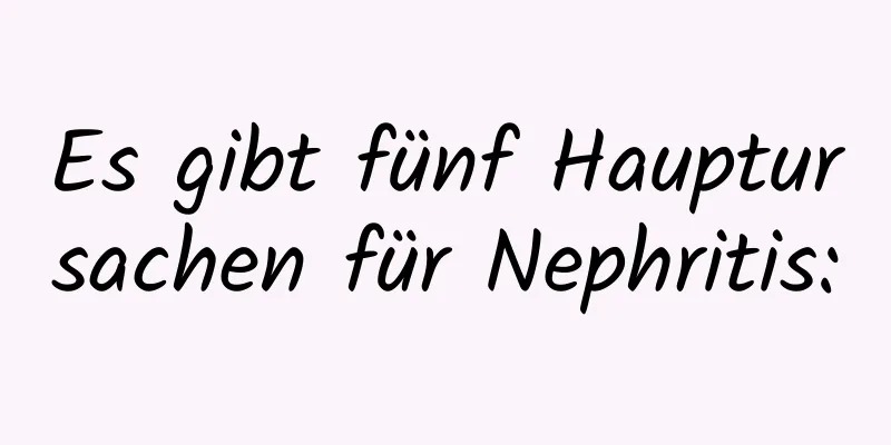 Es gibt fünf Hauptursachen für Nephritis: