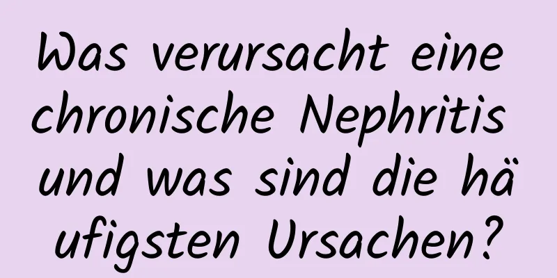 Was verursacht eine chronische Nephritis und was sind die häufigsten Ursachen?