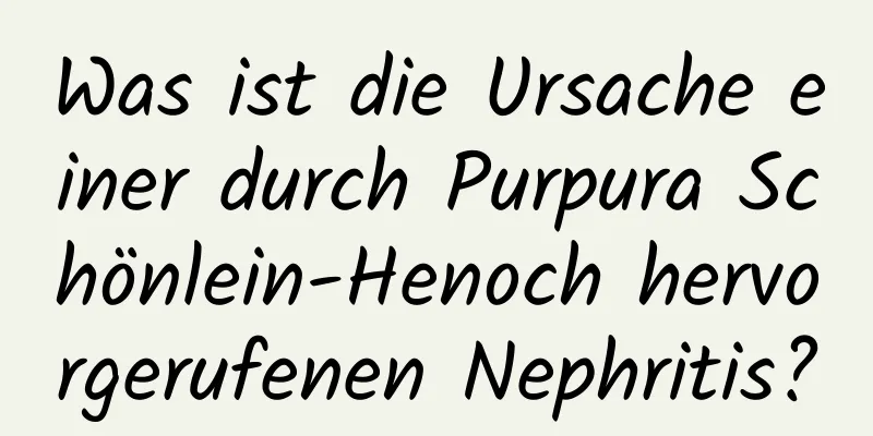 Was ist die Ursache einer durch Purpura Schönlein-Henoch hervorgerufenen Nephritis?