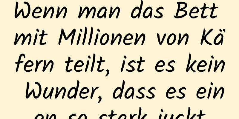 Wenn man das Bett mit Millionen von Käfern teilt, ist es kein Wunder, dass es einen so stark juckt