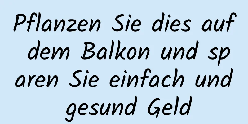 Pflanzen Sie dies auf dem Balkon und sparen Sie einfach und gesund Geld