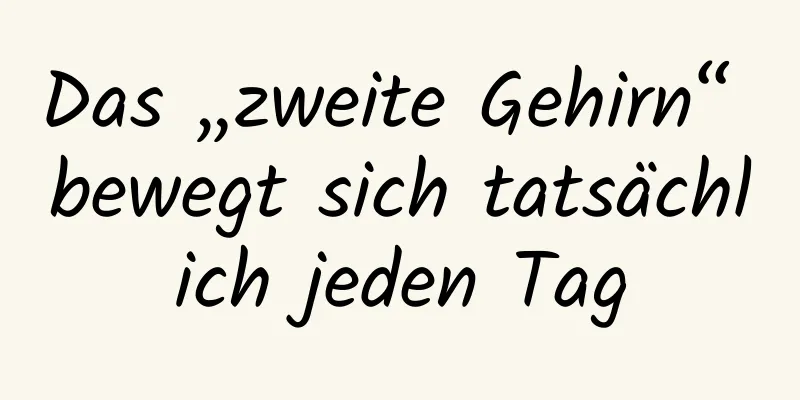 Das „zweite Gehirn“ bewegt sich tatsächlich jeden Tag