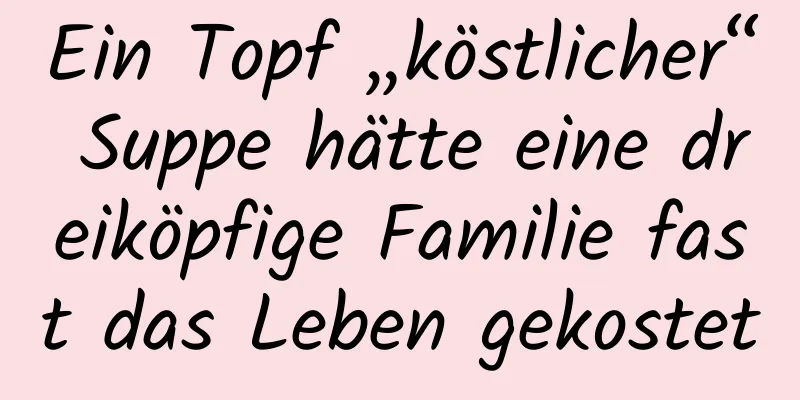 Ein Topf „köstlicher“ Suppe hätte eine dreiköpfige Familie fast das Leben gekostet