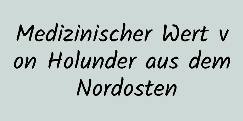 Medizinischer Wert von Holunder aus dem Nordosten