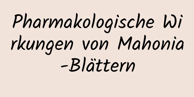 Pharmakologische Wirkungen von Mahonia-Blättern