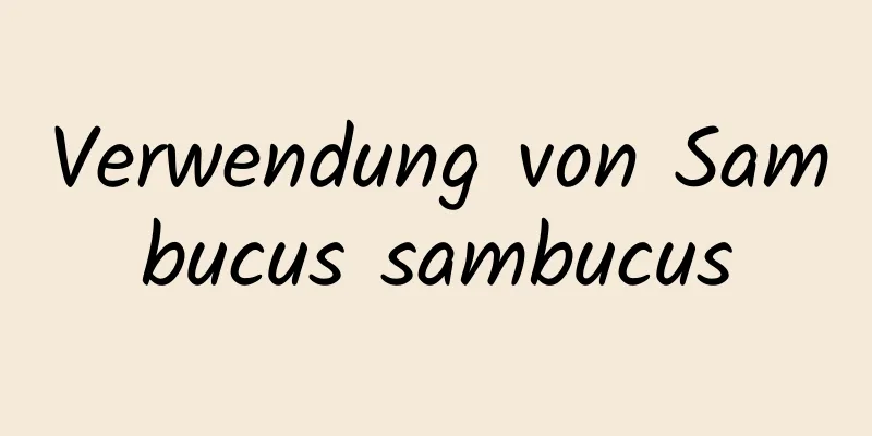 Verwendung von Sambucus sambucus