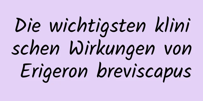 Die wichtigsten klinischen Wirkungen von Erigeron breviscapus