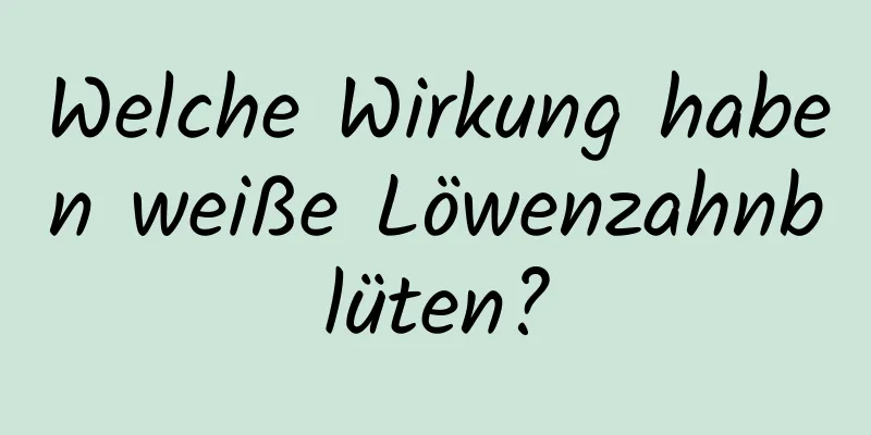 Welche Wirkung haben weiße Löwenzahnblüten?